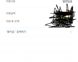 폰테크 아이폰16 프로 or 프로맥스 이용후기