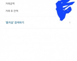 아이폰17 프로맥스 후기요!