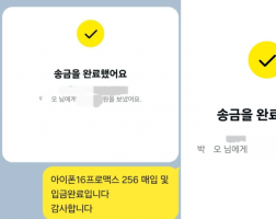 8.28 박*오 아이폰 16 프로맥스 256GB 매입완료
